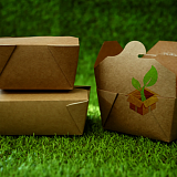 Экологичность упаковки как маркетинговый инструмент: почему ваш бизнес должен перейти на гофрокартон